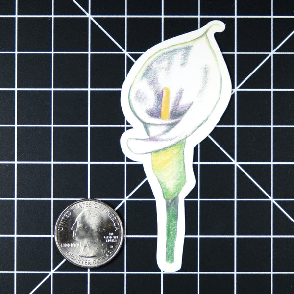 Calla Lily Sticker